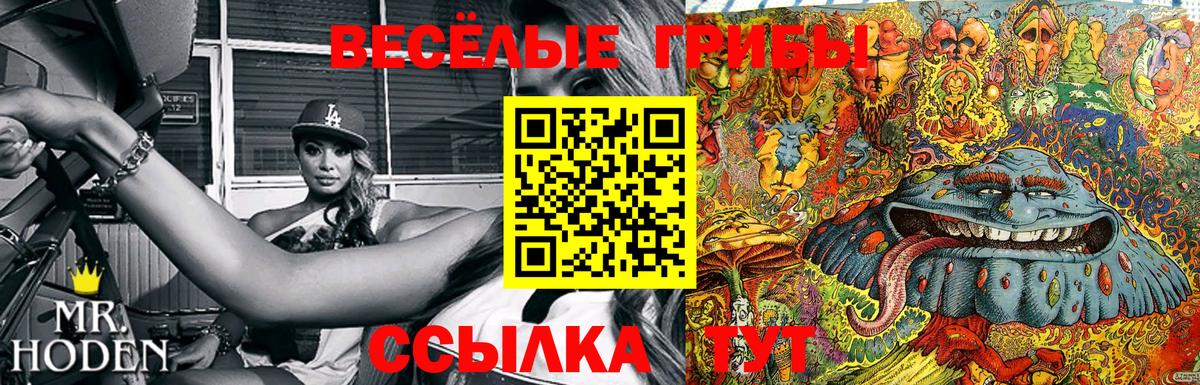 Энгельс  Псилоцибиновые грибы прущие грибы  Вход с VPN 